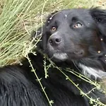 Coutelon, Havre De Paix En Pleine Nature Σπίτι διακοπών Saint-Jurs