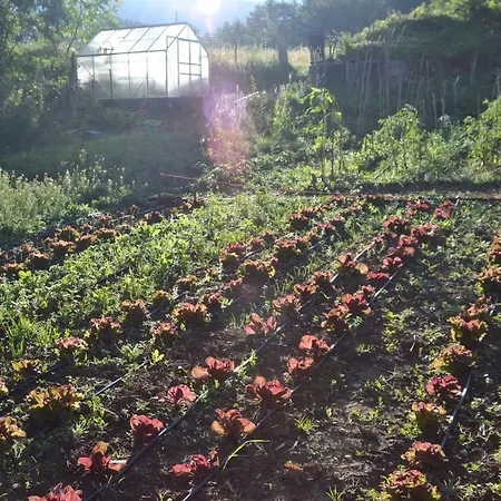 Casa vacanze Coutelon, Havre De Paix En Pleine Nature *