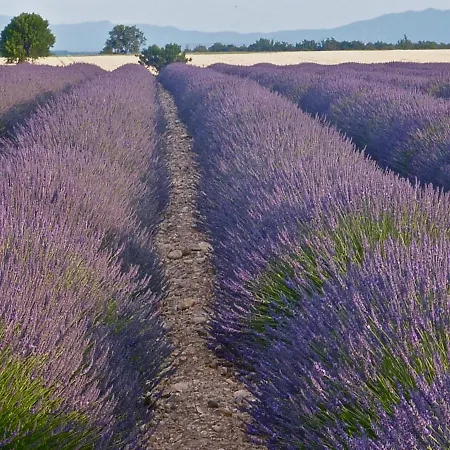 Coutelon, Havre De Paix En Pleine Nature *